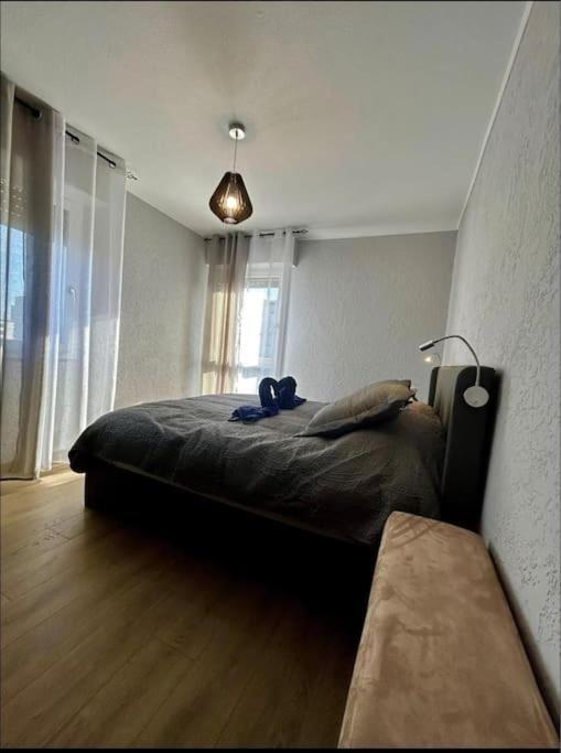 Appartement A 10 Min De Strasbourg